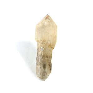 yN[|10%OFFzZv^[NH[c  ̂ ┐ }X^[NX^ 󏭌 RN^[  AXg[ 1_ iBe SPQ-27