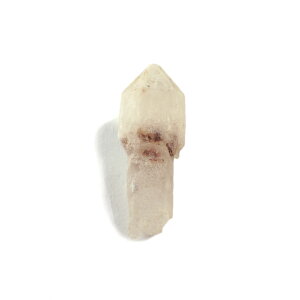 yN[|10%OFFzZv^[NH[c  ̂ ┐ }X^[NX^ 󏭌 RN^[  AXg[ 1_ iBe SPQ-32