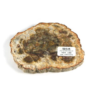 yN[|10%OFFzygt@ChEbh  Yn }_KXJ Petrified Wood ] Ζ EbhXg[ Vt@ChEbh VR z 1_ iBe WOP-191