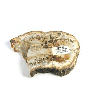 yN[|10%OFFzygt@ChEbh  Yn }_KXJ Petrified Wood ] Ζ EbhXg[ Vt@ChEbh VR z 1_ iBe WOP-197