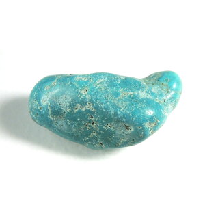 �y�N�[�|����10%OFF�z�^�[�R�C�Y ���� ���� �`�x�b�g Turquoise �g���R�� 12�� �a���� �V�R�� �z�� 1�_���� ���i�B�e TUR-49