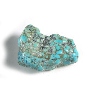 �y�N�[�|����10%OFF�z�^�[�R�C�Y ���� ���� �`�x�b�g Turquoise �g���R�� 12�� �a���� �V�R�� �z�� 1�_���� ���i�B�e TUR-58