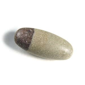 �y�N�[�|����10%OFF�z�V�o�����K�� 13.5g 1�_���� ���i�B�e SVL-130