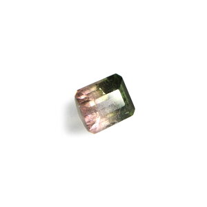 �y�N�[�|����10%OFF�z�V�R �E�H�[�^�[�������g���}���� �o�C�J���[�g���}���� ���[�X 10�� �a���� 1�_���� ���i�B�e BC-228