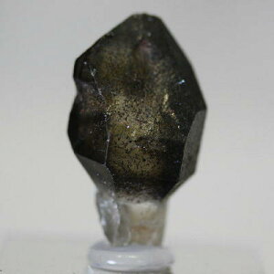 yN[|10%OFFzZv^[NH[c  ̂ ┐ 󏭌 RN^[  AXg[ X[L[NH[c SPSM-2