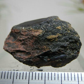 【クーポンで10%OFF】ビビアナイト VVN-14