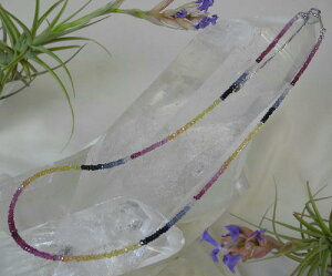 yN[|10%OFFzsN u[ CG[ Tt@CA lbNX  Vo[925 9 a SFPB-11