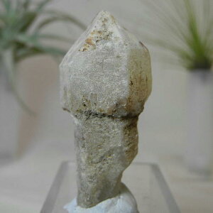 yN[|10%OFFzZv^[NH[c  ̂ ┐ 󏭌 RN^[  AXg[ SEPT-16