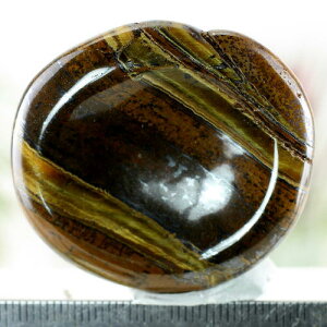 yN[|10%OFFz^CK[AC q[Ov[g ݂ Yn AtJa Tiger's eye Ֆڐ Պ VR z 1_ iBe TGT-24