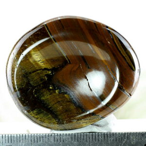 yN[|10%OFFz^CK[AC q[Ov[g ݂ Yn AtJa Tiger's eye Ֆڐ Պ VR z 1_ iBe TGT-27