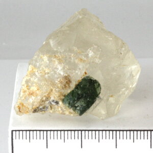 �y�N�[�|����10%OFF�z�O���[���g���}���� �C���N�H�[�c 10�� �a���� GTR-50