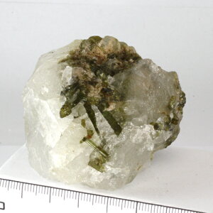 �y�N�[�|����10%OFF�z�O���[���g���}���� �C���N�H�[�c 10�� �a���� GTR-55