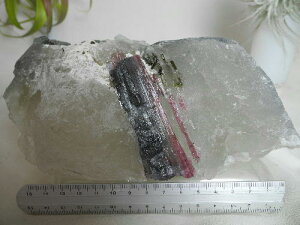 yN[|10%OFFzCfBRu[ sNg} oCJ[g} 󌋏  Yn uW waternelon tourmaline dC 10 a VR z 1_ iBe TLB-57