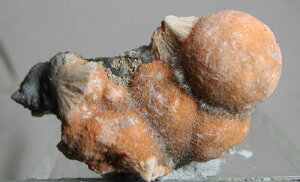 yN[|10%OFFzg\ tFGCg Ferrierite y PTLO-7