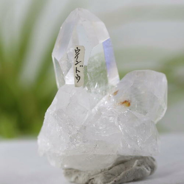 楽天市場】【クーポンで10%OFF】ウィンドウクォーツ 水晶 マスター 