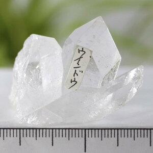 �y�N�[�|����10%OFF�z�E�B���h�E�N�H�[�c ���� �}�X�^�[�N���X�^�� �t�@�Z�b�g �V�R�� �z�� 1�_���� ���i�B�e WIND-65