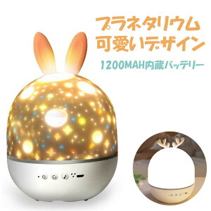 y bsOΉ vl^E ƒp q vWFN^[Cg X^[vWFN^[Cg av[g Ԃ  xr[ U}V Q oYj 