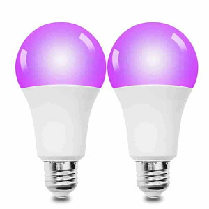 ACg ubNCg d LEDe[vCg Ov UV~Cg ԐڏƖ p[eB[ nEB ͋C UD΍ ~fޏƖ zӒ ybg̃IVbR ȂmF 