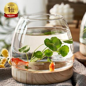 金魚鉢 おしゃれ 金魚 メダカ 水槽 室内 容器 鉢 ミニ水槽 ガラス金魚鉢 小さな水槽 金魚水槽 小さな丸い透明なガラス花瓶 木製ベース付きデスクトップ水槽 観賞植物ホルダー 水耕植物花瓶 おしゃれ 小シンク おしゃれ ガラス 室内花瓶 創作卓上金魚鉢 家庭用