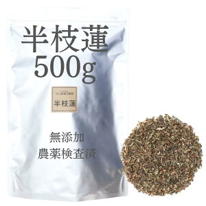 }@ 500g _򌟍 ̂܂ Y nV Ϗo V V     Iׂ }@