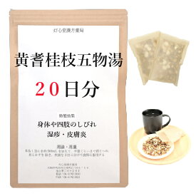 黄耆桂枝五物湯 20日分(20包) 煎じ薬 身体や四肢のしびれ 顔面・口腔内のしびれ 湿疹・皮膚炎 漢方薬 オウギケイシゴモツトウ おうぎけんちゅうとう