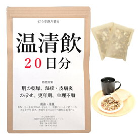 温清飲 20日分(20包) 煎じ薬 肌の乾燥 湿疹 皮膚炎 のぼせ 更年期 生理不順 ウンセイイン 漢方薬 うんせいいん