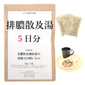 排膿散及湯 5日分(5包) 煎じ薬 はいのうさんきゅうとう はいのうさん 漢方薬 化膿性皮膚疾患の初期又は軽いもの 歯肉炎 扁桃炎 化膿 膿 薬局製剤 漢方 ハイノウサンキュウトウ