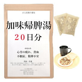 加味帰脾湯 20日分(20包) 煎じ薬 かみきひとう 漢方 漢方薬 不安 不眠 不安症 心身の疲れ 貧血 不眠症 精神不安 神経症 睡眠 睡眠の質 カミキヒトウ せんじ薬