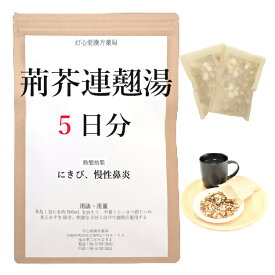 荊芥連翹湯 5日分(5包) 煎じ薬 皮膚が浅黒い にきび 慢性鼻炎 漢方 ケイガイレンギョウトウ けいがいれんぎょうとう