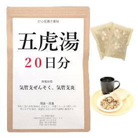 五虎湯 20日分(20包) 煎じ薬 気管支喘息 気管支炎 ぜんそく 漢方 ゴコトウ ごことう