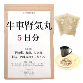 牛車腎気丸 5日分(5包) 煎じ薬 牛車腎気丸料 下肢痛 腰痛 しびれ 老人のかすみ目 かゆみ 排尿困難 頻尿 むくみ 漢方 ゴシャジンキガン ごしゃじんきがん