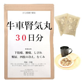 牛車腎気丸 30日分(30包) 煎じ薬 牛車腎気丸料 下肢痛 腰痛 しびれ 老人のかすみ目 かゆみ 排尿困難 頻尿 むくみ 漢方 ゴシャジンキガン ごしゃじんきがん