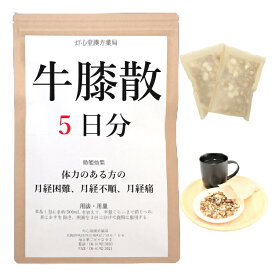 牛膝散 5日分(5包) 煎じ薬 体力のある方の生理痛 生理不順 月経困難 漢方 ゴシツサン ごしつさん