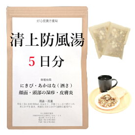 清上防風湯 5日分(5包) 煎じ薬 にきび 顔面・頭部の湿疹・皮膚炎 あかはな・酒さ 薬局製剤 漢方 セイジョウボウフウトウ せいじょうぼうふうとう