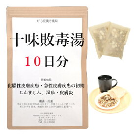 十味敗毒湯 10日分(10包) 煎じ薬 化膿性・急性皮膚疾患の初期 じんましん 湿疹・皮膚炎 薬局製剤 漢方 ジュウミハイドクトウ