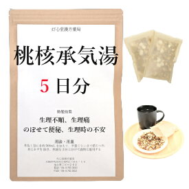 桃核承気湯 5日分(5包) 煎じ薬 のぼせて便秘がち 生理不順 生理痛 産後・生理時の精神不安 薬局製剤 漢方 トウカクジョウキトウ とうかくじょうきとう