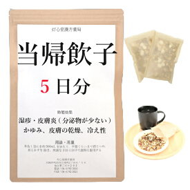 当帰飲子 5日分(5包) 煎じ薬 分泌物の少ない湿疹・皮膚炎 乾燥 かゆみ 薬局製剤 漢方 トウキインシ とうきいんし