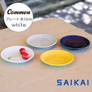 yubNtCf[P5{zg ObhfUC܎ Common v[g 120mm zCg  12×1.8cm lC M ێM X^bLO M Vv  qp HASAMI 