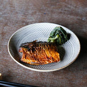 y݌Ɍzg KIRIKO ˂ 5M 15.5×2.5cm 180g v[g y  dqWgp ͂ݏ H R HASAMI 