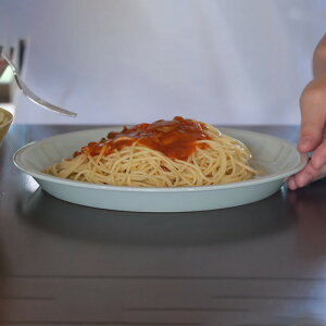 g es plate 24cm  24.5×2.5cm 600g M v[g ͂ݏ  GbZX ʔ́yessencez HASAMI 