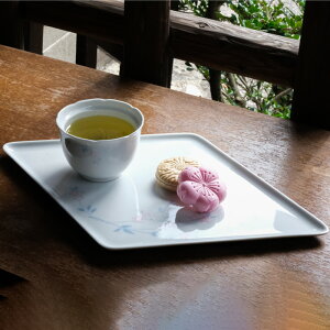 y݌Ɍzg ǂ HM 41×26.5×1cm 185g 210ml  ͂ݏ a C HASAMI 