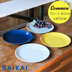 yubNtCf[P5{zg ObhfUC܎ Common v[g 210mmCG[ F 21×2.4cm 400g M M  a21cm  y y v ͂ݏ ʔ yV HASAMI 