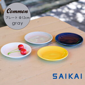 g ObhfUC܎ Common v[g 120mm O[ 12×1.8cm lC M DF ێM X^bLO M Vv  qp HASAMI 