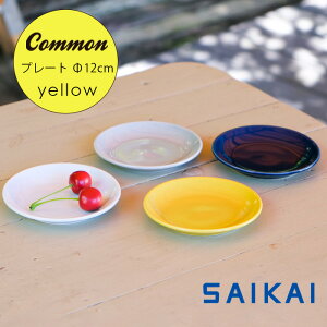 yubNtCf[P5{zg ObhfUC܎ Common v[g 120mm CG[ 12×1.8cm 100g lC M ێM X^bLO M Vv  qp HASAMI 