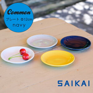 yubNtCf[P5{zg ObhfUC܎ Common v[g 120mm lCr[  12×1.8cm 100g lC M ێM X^bLO M Vv  qp HASAMI 