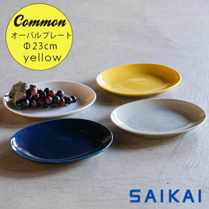 g ObhfUC܎ Common I[o v[g (ȉ~) 23×18×2.7cm 400g CG[ F lC M ȉ~M X^bLO ȉ~M  Vv  qp aH mH  HA