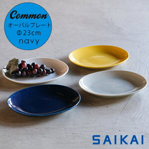 g ObhfUC܎ Common I[o v[g (ȉ~) 23×18×2.7cm 400g lCr[  F lC M ȉ~M X^bLO ȉ~M  Vv  qp aH mH 