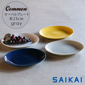 g ObhfUC܎ Common I[o v[g (ȉ~) 23×18×2.7cm 400g O[ D lC M ȉ~M X^bLO ȉ~M  Vv  qp aH mH  HASAMI 