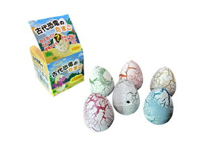 yP1zÑ㋰̂܂@yP50~(ō)×25z