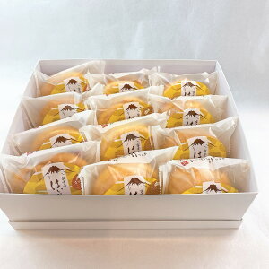  GߌxmR͂Ղ12  Mtg 蕨  َql xmR Mtg XC[c 񂹃O v[g Mtg